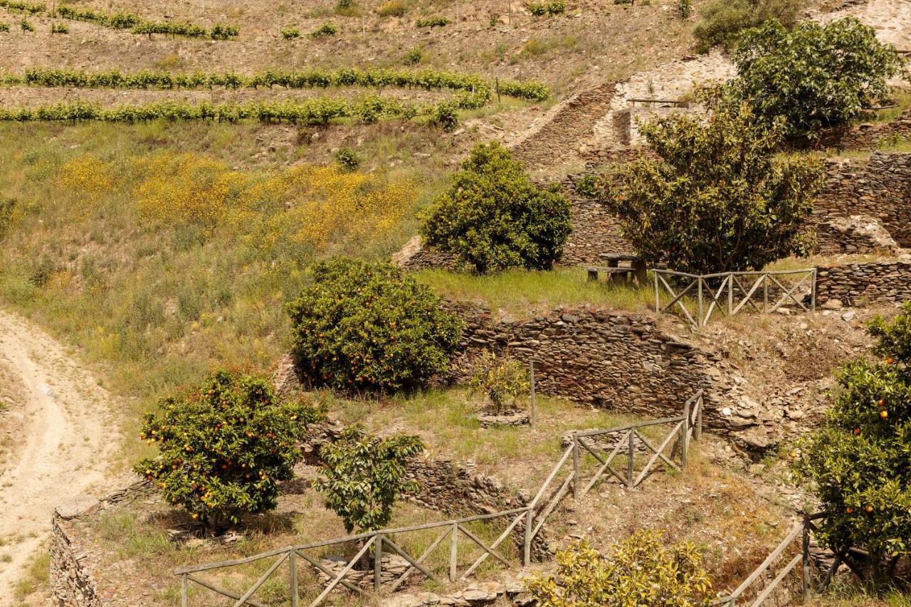 Quinta Nova Winery House - Relais & Chateaux Pinhao Bagian luar foto